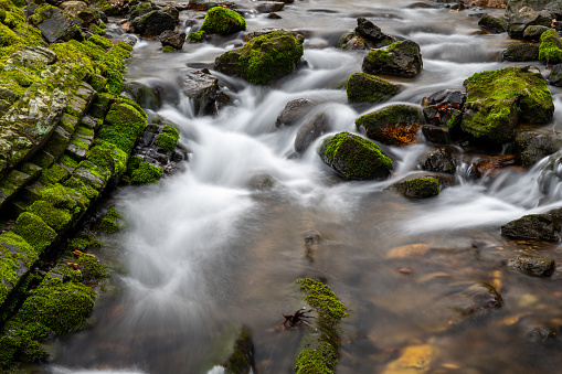 Small stream flowing around moss covered rocks