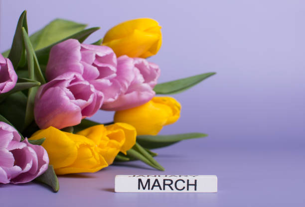 a bouquet of tulips for March 8th. Greeting card