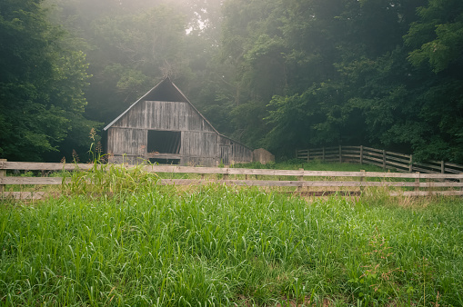 Old hay barn on a foggy morning