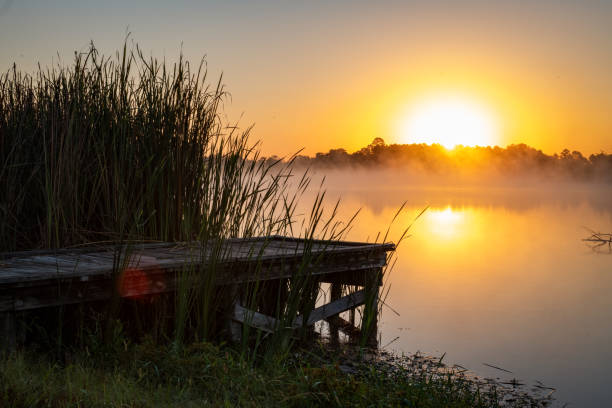 Fishing pier on a small foggy lake in the morning