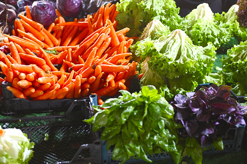 Assortment of fresh Vegetable on Shelves