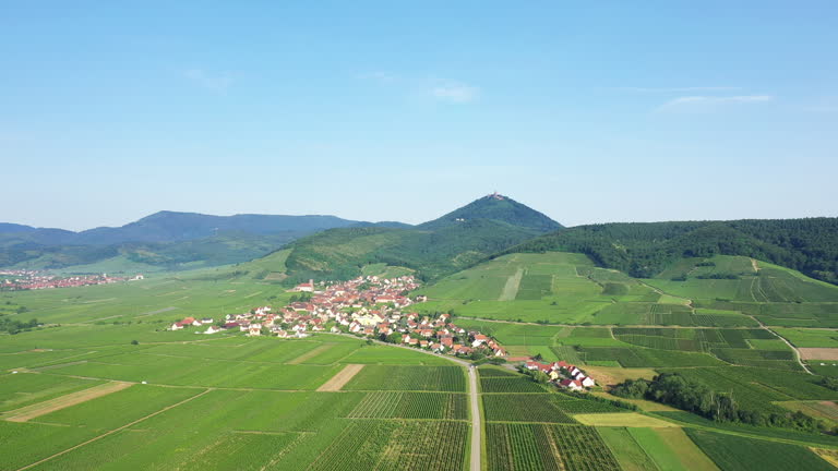 The city of Saint-Hippolyte in the middle of the vineyards at the foot of the green mountains, in Europe, in France, in Alsace, in the Bas Rhin, towards Strasbourg, in summer, on a sunny day.