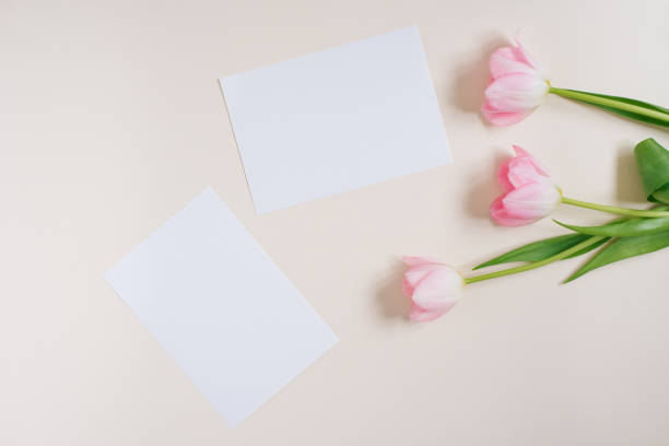 istock Beautiful composition spring flowers. Blank frame for text, pink tulips flowers on beige background. Valentine's Day, Easter, Birthday, Happy Women's Day. Flat lay, top view, copy space 2051787683