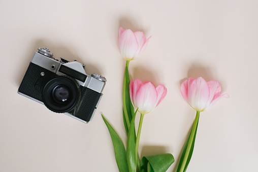 Photocamera retro and pink tulips on beige dark background. Template for advertising or visualization of blog. Top view. The concept of spring