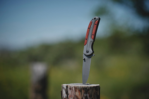 Folding knife is stuck in wooden stump against background forest.Tool for outdoor recreation