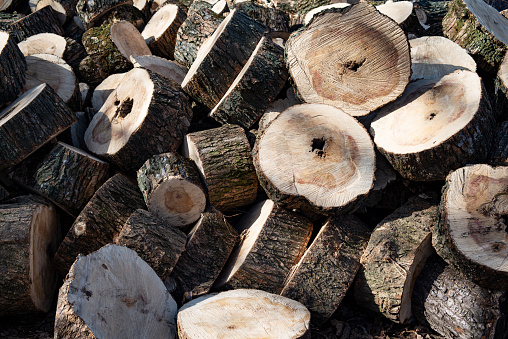 Close-up of sawn firewood stacked on a pile.