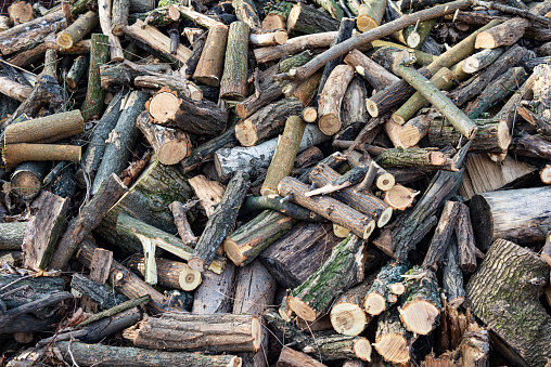 Close-up of sawn firewood stacked on a pile.