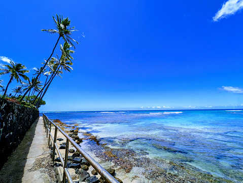 This inviting pathway in Waikiki beckons with its clear turquoise waters and tropical palm trees, offering a peaceful stroll alongside the oceanâs edge.
