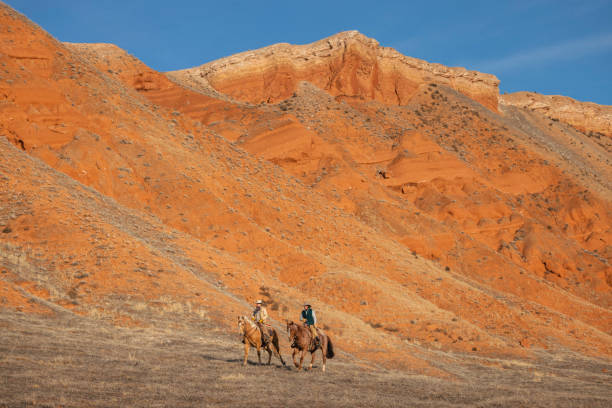 istock Winter Ranch Horse Riding 2051819200