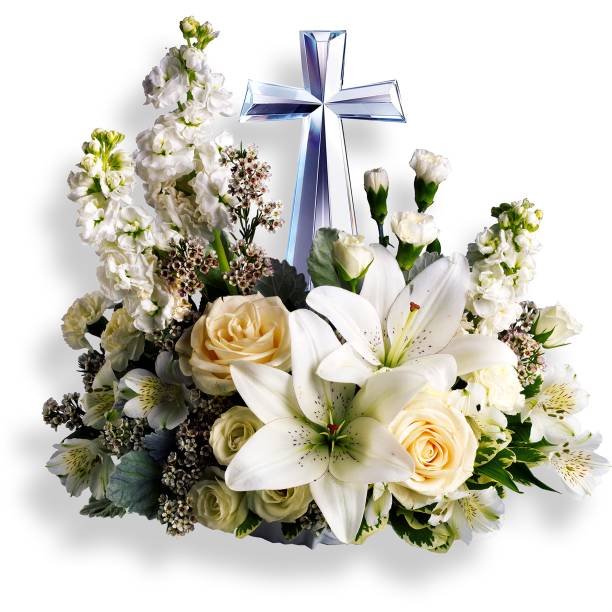 istock Decorative flowers and plants for the home interior and office isolated on plain background. 2051856000