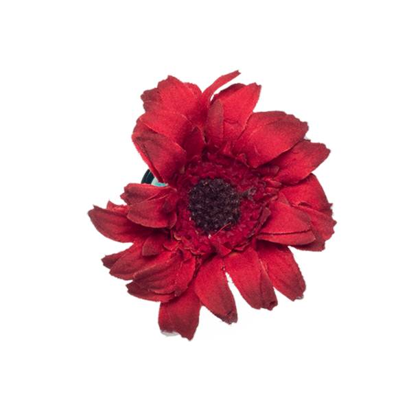 istock Decorative flowers and plants for the home interior and office isolated on plain background. 2051876698