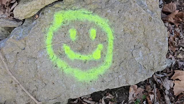 Happy face symbol painted on rock with bright green paint