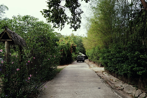 An old, rickety pickup truck maneuvers through the island farm, seemingly on a mission. Captured with the Leica Q3.