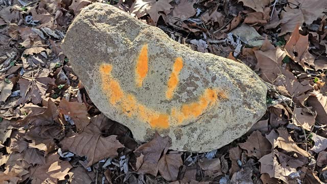 Happy face symbol painted on rock with bright orange paint