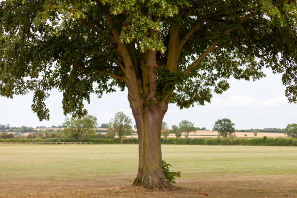 istock Bidford-on-Avon , Warwickshire, England 2052070832
