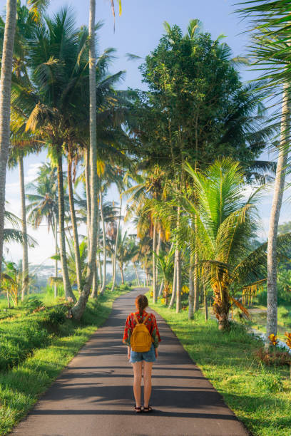 istock Woman walking in coconut tree grove on Bali 2052121706