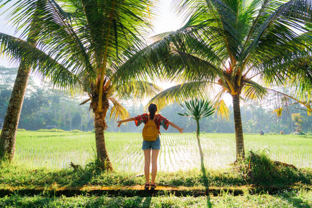istock Woman walking in coconut tree grove on Bali 2052127512