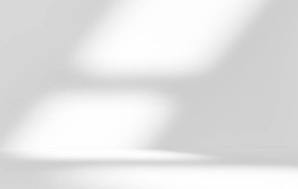 istock Empty white room studio with shadow of fence overlay 2052129619