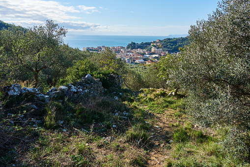 The coastal city of Finale Ligure seen from an olive trees field. Province of Savona. Liguria. Italy.