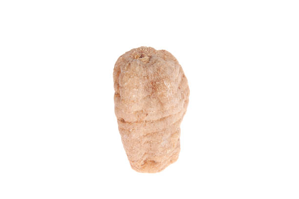 istock Tianma is isolated on a white background 2052178917