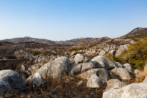 A view of the Hiraodai karst plateau taken immediately after the field burning that takes place around February every year.