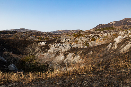 A view of the Hiraodai karst plateau taken immediately after the field burning that takes place around February every year.