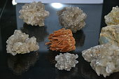 A collection of minerals from the sea on a glass table.