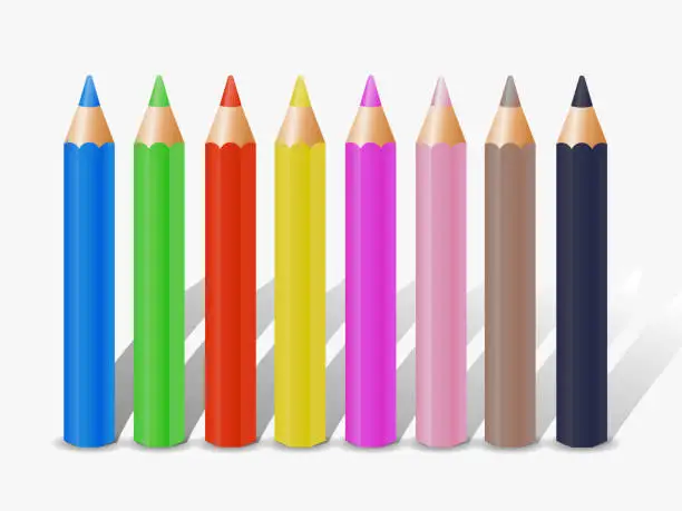 Vector illustration of Set of colored pencil