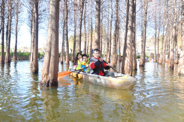 The wetland park has planted a large number of cedar trees, with beautiful scenery that attracts a large number of tourists to row boats and take photos in the water forest.