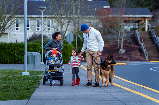 A preschool age Eurasian girl walks with her mom and dad, pet dog, and younger brother to school on a cool autumn morning in Oregon.