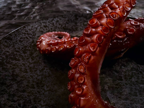istock Tentacles of boiled octopus 2052350623