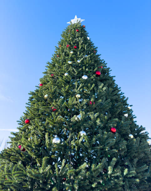 istock New Year tree against the blue sky 2052393524