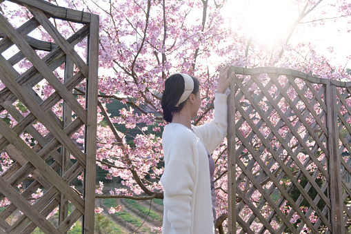 Woman standing in front of wooden fence door