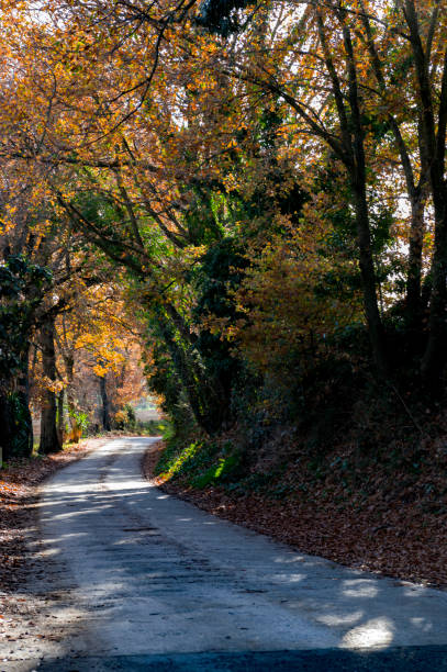 The beautiful and serene countryside in Tuscany, Italy, photographed in a sunny winter day