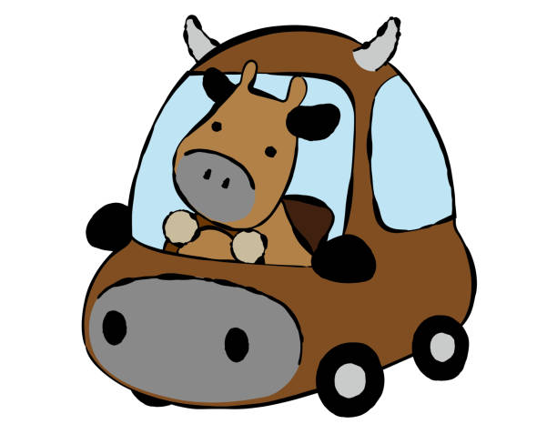 ilustrações, clipart, desenhos animados e ícones de uma vaca dirigindo um carro em forma de vaca / material de ilustração (ilustração vetorial) - cattle drive