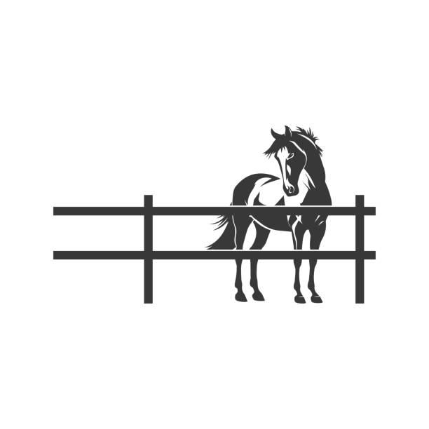ilustraciones, imágenes clip art, dibujos animados e iconos de stock de paseos a caballo estilizados en blanco y negro en el potrero - paddock