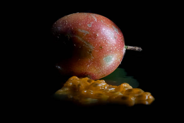 Macrofotografía