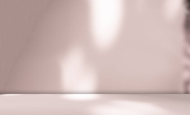 istock Background Shadow Studio Nude Color Beige Plant Overlay Podium 3d White Light Design Table Product Room Empty Backdrop Bg Summer Minimal Place Kitchen Abstract Leaf Pattern Flower Texture Space. 2052481192