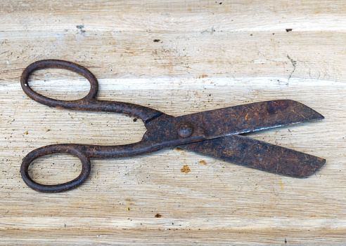 old wire cutter