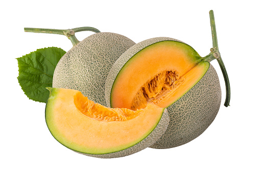 cantaloupe melon isolated on a white background.