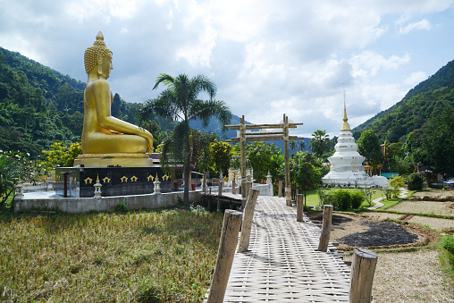 Bamboo bridge to the white pagoda and Phra Chao Ton Luang, a large outdoor golden Buddha statue. Sitting prominently in the middle of a rice field at Na Khuha Temple there are beautiful natural places. Located at Phrae Province in Thailand.