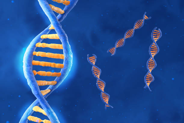 istock DNA molecule with the double polynucleotide spiral - isometric view 3d illustration 2052516414