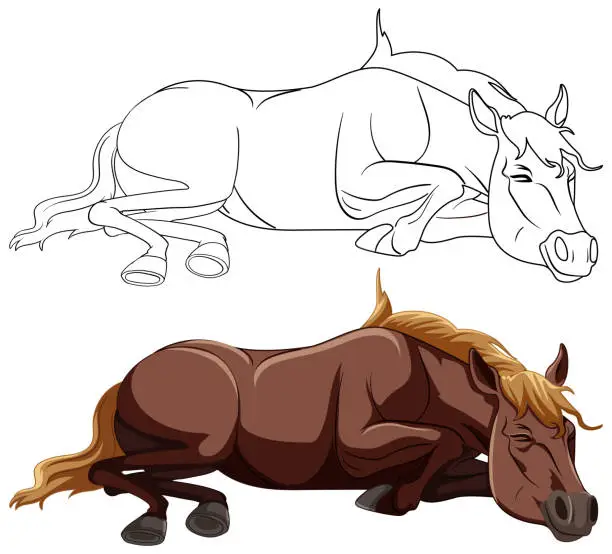 Vector illustration of Vector graphic of a horse lying down, resting.