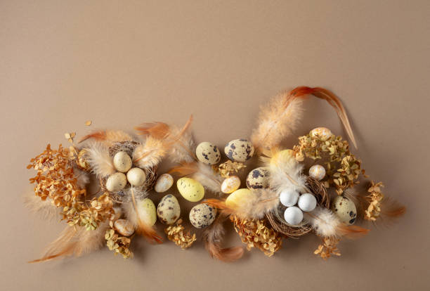 istock Easter composition with quail eggs, feathers, and dried flowers. 2052572755