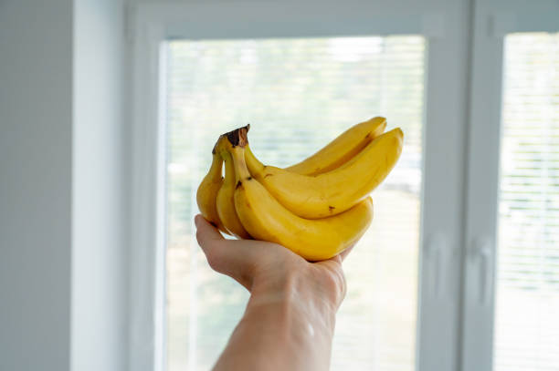 istock Man's hand holding bananas, natural daylight 2052585161
