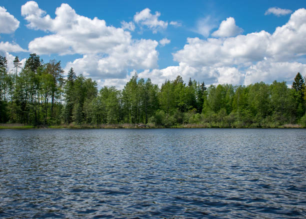 istock summer landscape with white cumulus clouds over the river, reflections in the water 2052585733