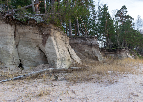 Land outcrops. The outcrops are mainly composed of fine-grained to medium-grained sandstone and alternating layers of clayey siltstone sediments. Zivtinu rocks in Salacgriva region, Latvia