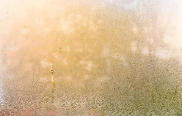 istock texture background of wet glass. water droplets 2052594904