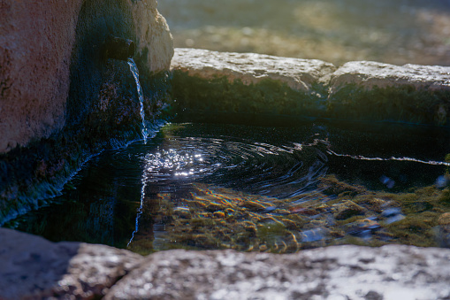 crystal-clear, sunlit water spring flowing in a pomegranate tree trough