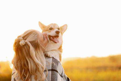 Owner holds and kisses a cheerful Welsh Corgi dog, looking at it lovingly, at sunset. Friendship between man and dog. The concept of friendship, trust, love, childfree.